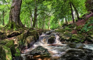 01 CLoghleagh Falls 270612